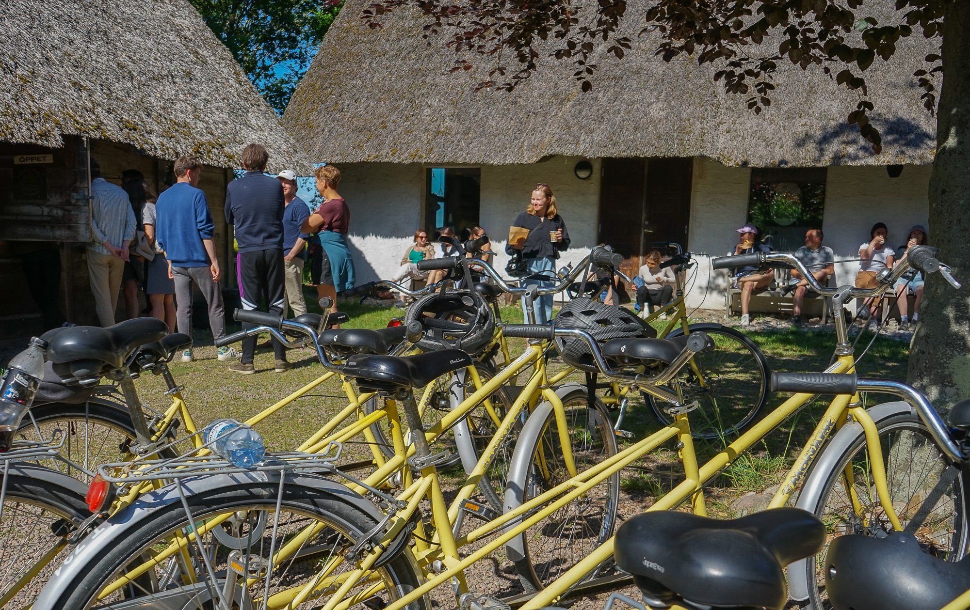 Aktiviteter, skattjakt och cykla på Ven