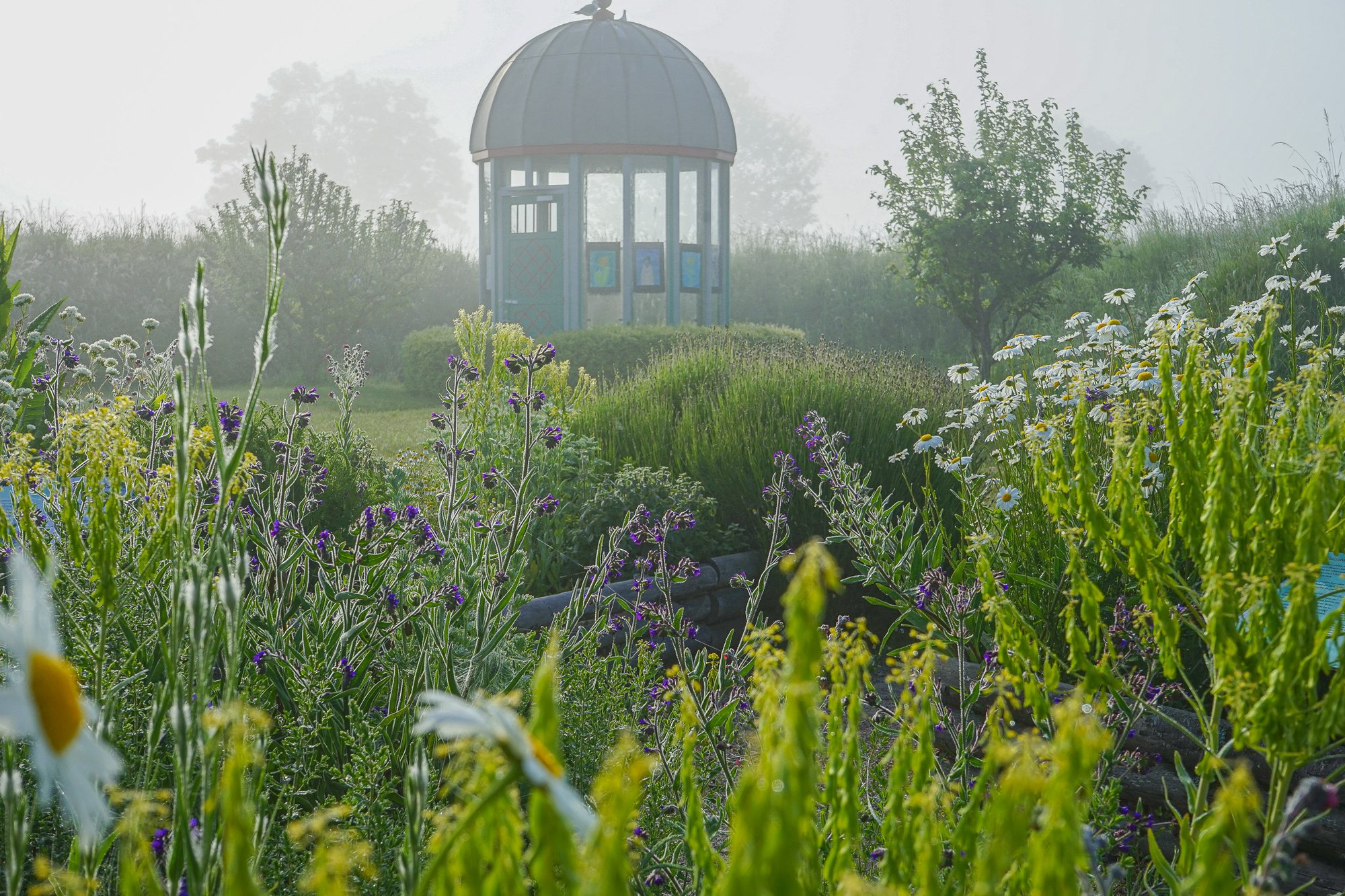 Erbjudanden Midsommar ny knapp