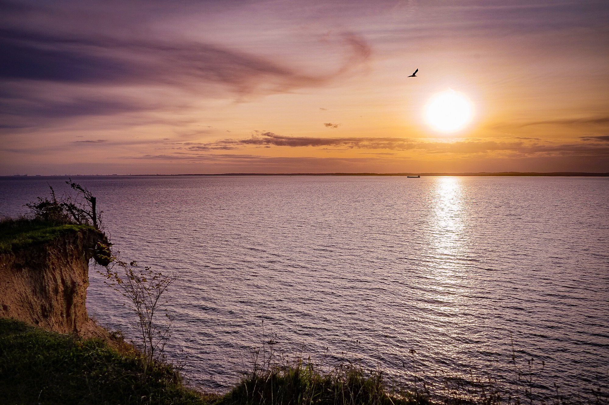 Miljø sunset2_page billede
